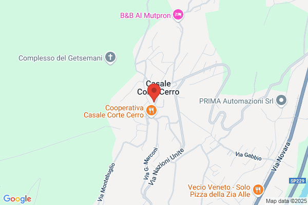 Verdoia ireneo