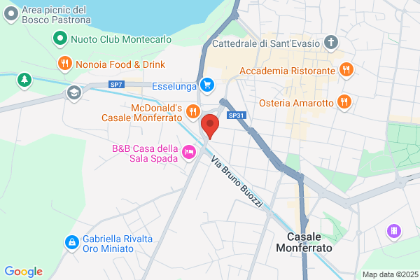 Palestra Dynamika