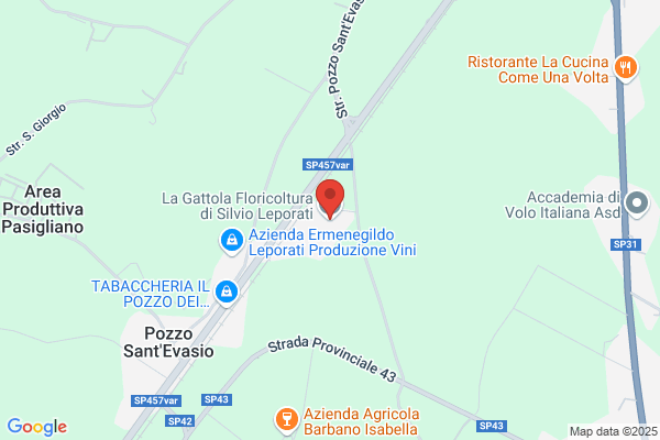 Frola Pietro