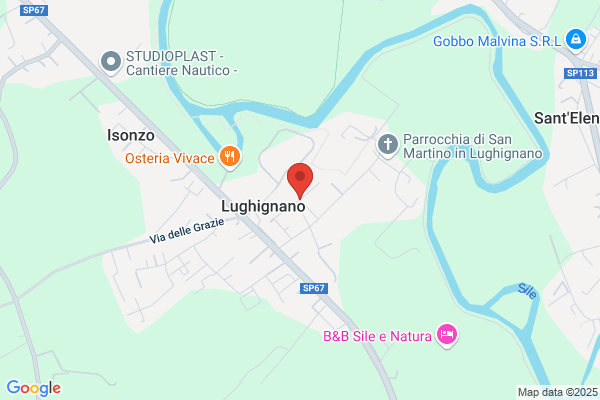 Violo rino