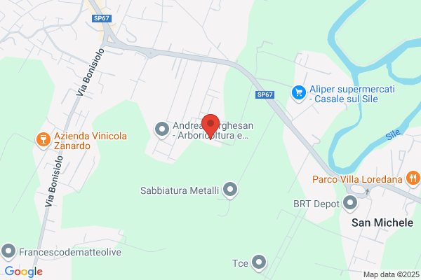 Pulitecnica S.N.C. Di Dal Bo E Pesce