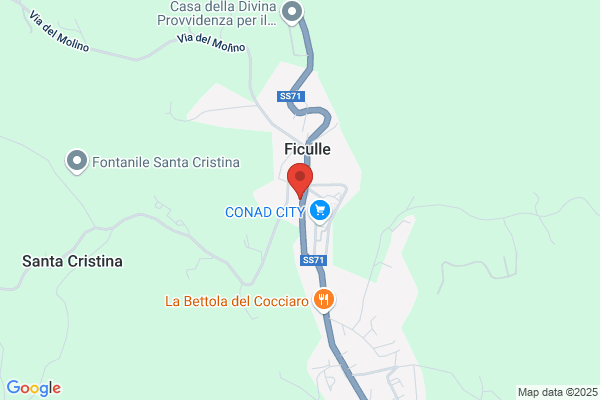 Neri claudio