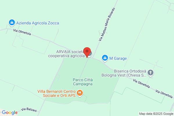 Il Baobab