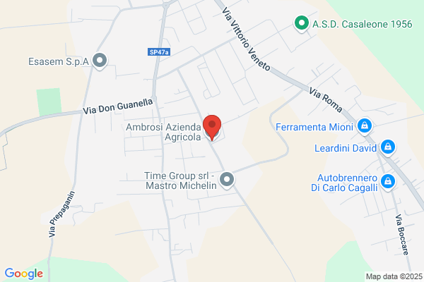 Mariano, Ambrosi