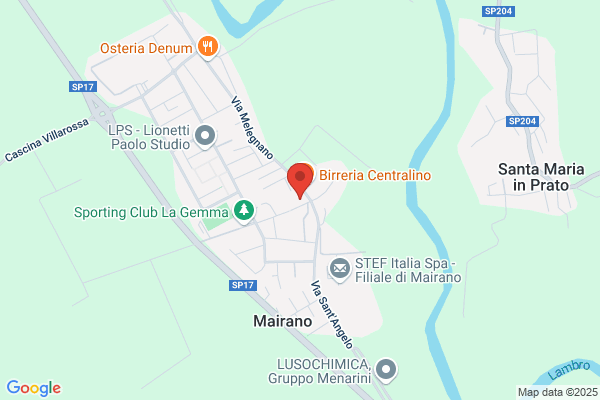 Marangotto franca (Rag.)