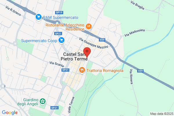 Reale Mutua Agenzia di Castel S.Pietro T. Poletti Andrea