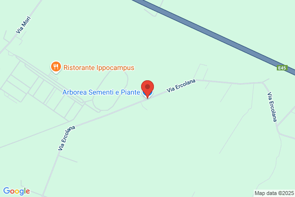 Arborea Sementi e Piante