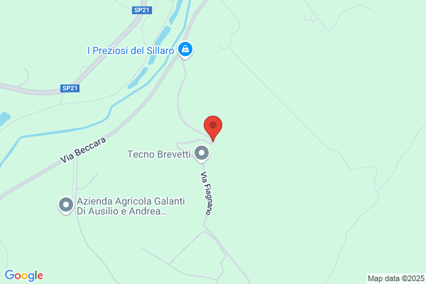 Omig Di Cioffoletti R. S.N.C.