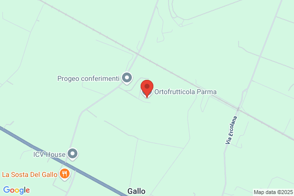 Ortofrutticola Parma (S.R.L.)
