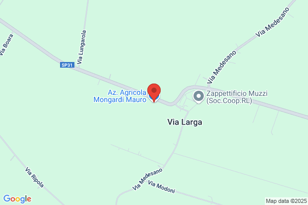 Mongardi massimo