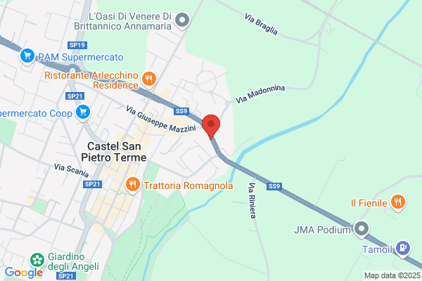 Ristorante -  Hotel Il Gallo