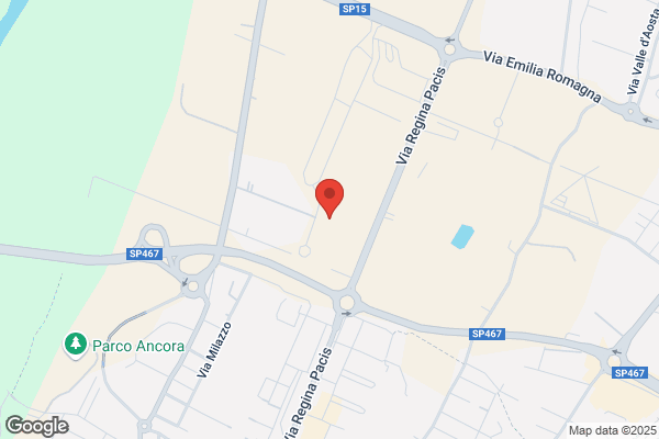 Camellini Trasporti Srl