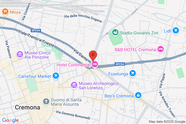 Ristorante Pizzeria Il Vesuvio Ii
