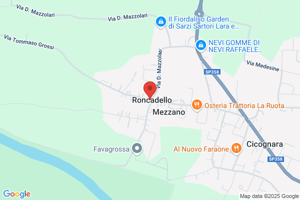 Tosi remo