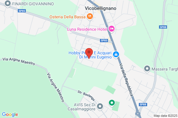 Vezzoni marco