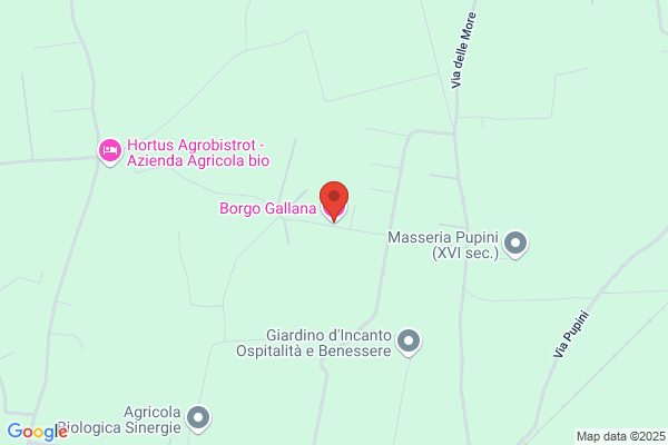Gallana Claudio
