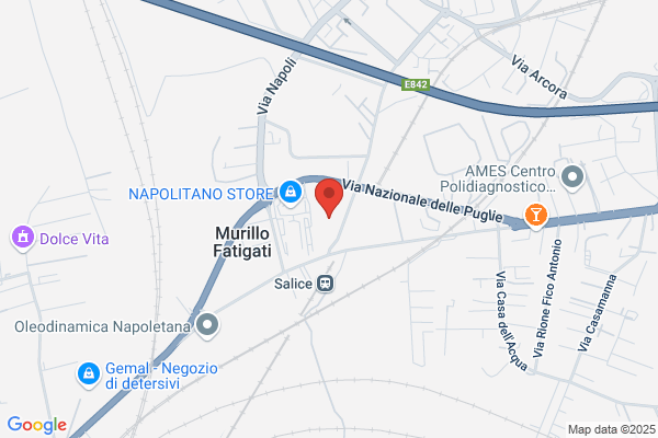 Tecnogenesi Srl