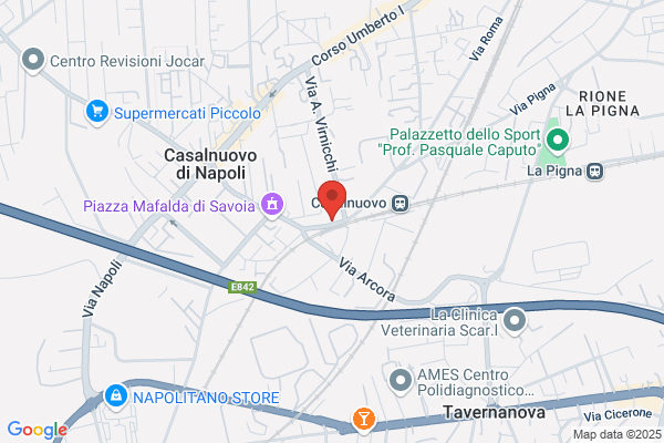 Visone vittorio (Ing.)