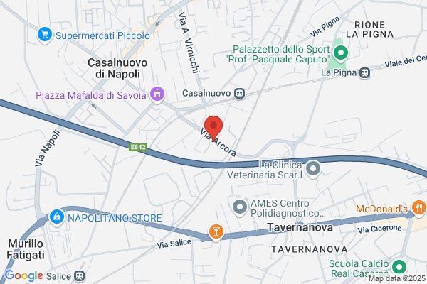 Tortora carmela