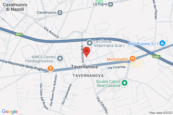 Guarino Francesco