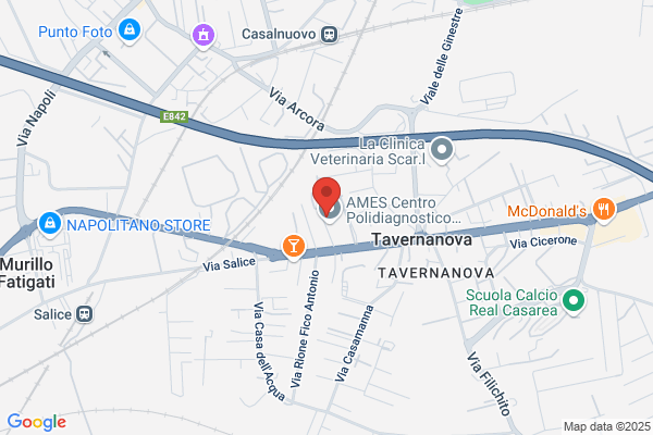 Istituto Vesuviano Snc