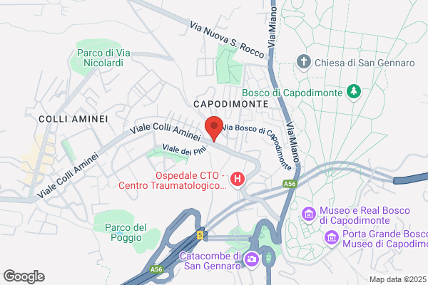 Muro francesco