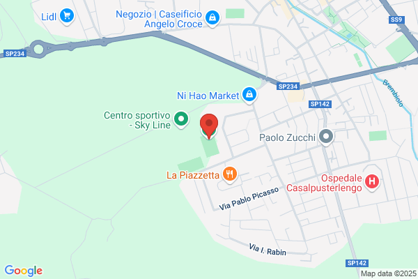 Meazza torquato (Dr.)