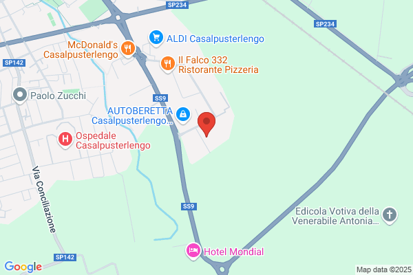 Ars Tipolitografia Lodigiani
