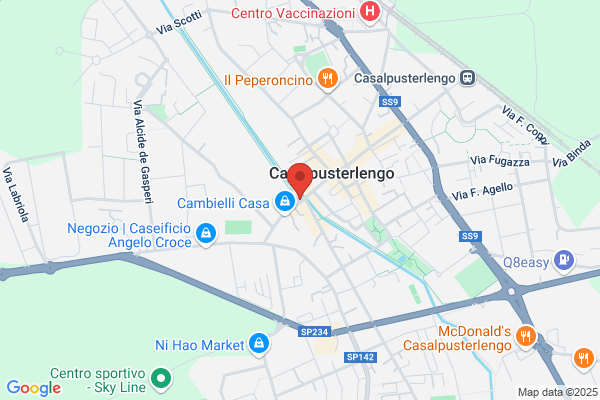 Gatti Domenica