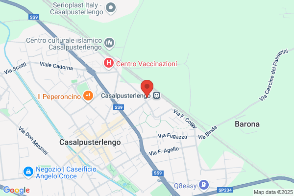 Trenitalia Spa Divisione Cargo