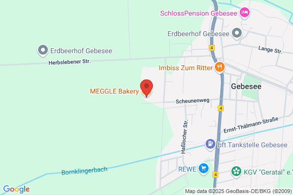 Meggel