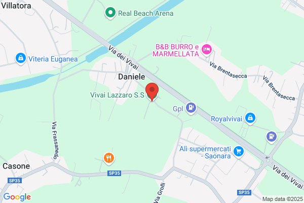 Vivai Lazzaro Ss Agricola