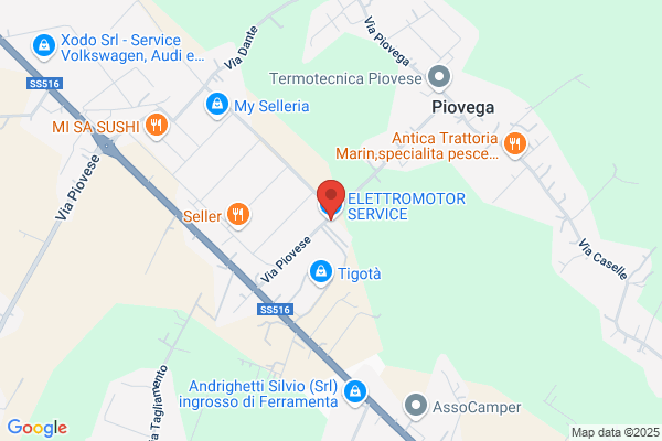 Elettromotor Service