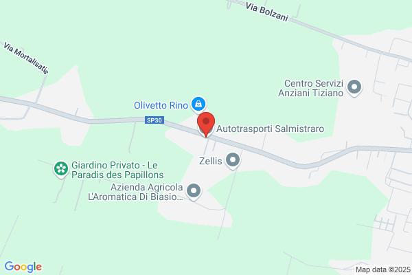 Autotrasporti Salmistraro