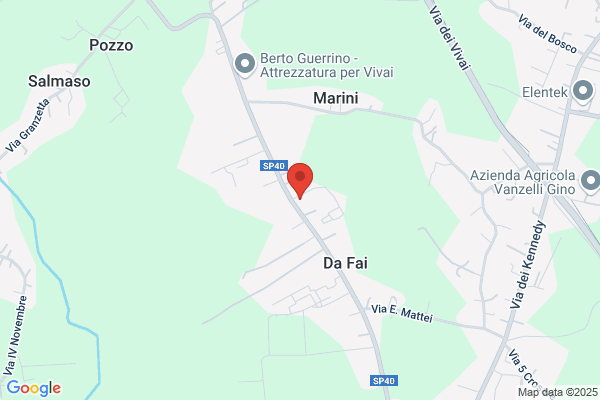Trattoria al Cavallino