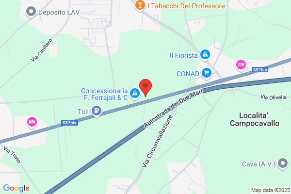 Edilpartenope Srl