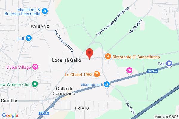 Elettrodiesel E Turbo Di Esposito G.Corcione
