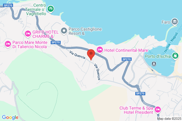 Hotel Ireos