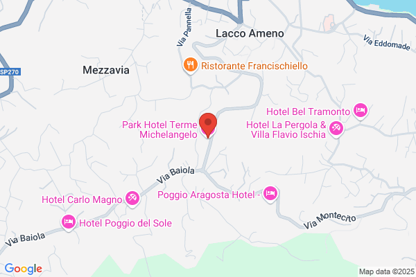 Hotel Michelangelo