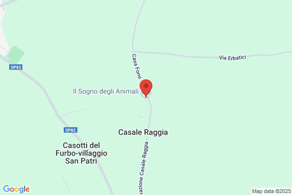 Il Sogno degli Animali
