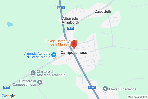 Ristorante Pizzeria La Briglia Gialla di Fabio Corna