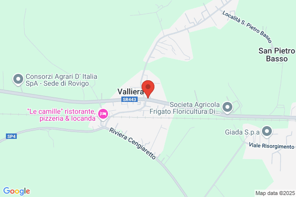 Elisir Snc Di Fantone V. E Biola a.