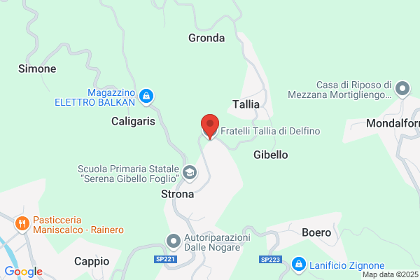 Tallia Fratelli Di Delfino S.P.A.
