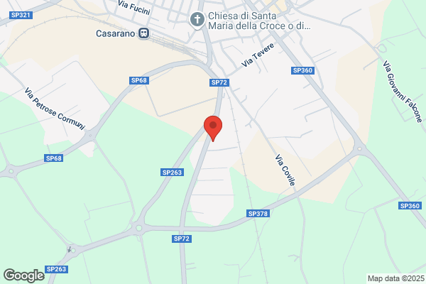 Grifo Srl