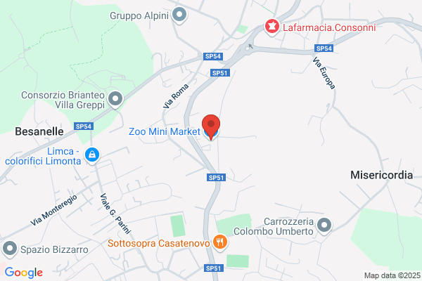 Zoo Mini Market