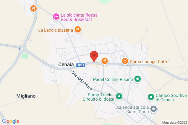 Elettro Commerciale Pisana - E.C.P. -(S.R.L.)