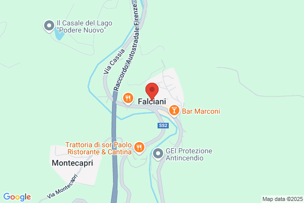 Falciani Stefano