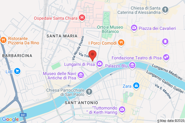 S.P.E.S. - Societa Pisana Edilizia Strade - Srl