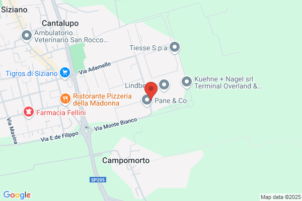 Il Tarlo