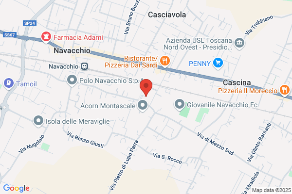 Polito assunta